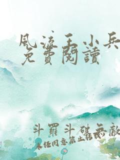 风流王小兵小说免费阅读