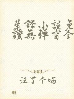 叶锋小说免费阅读无弹窗全文