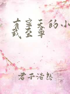 有宁天的小说医武至尊