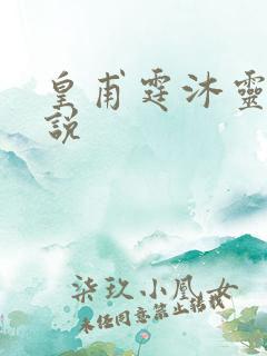 皇甫霆沐灵芸小说