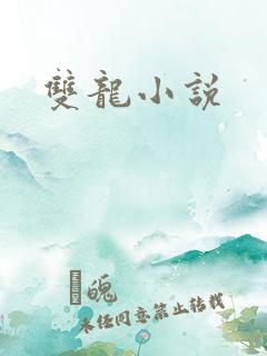 双龙小说