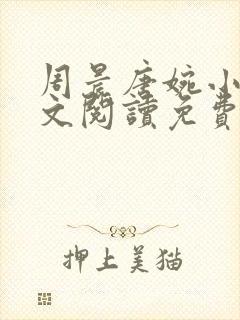 周晨唐婉小说全文阅读免费