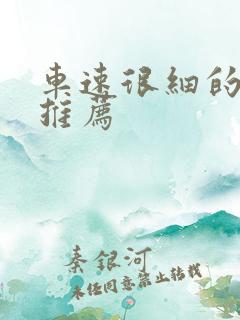 车速很细的小说推荐