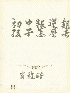 初中叛逆期的男孩子怎么去引导