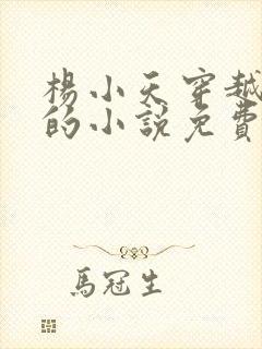 杨小天穿越武魂的小说免费阅读无弹窗