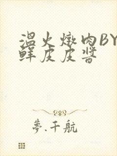 温火炖肉BY海鲜皮皮酱