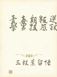 青春期叛逆不上学男孩应该怎么办