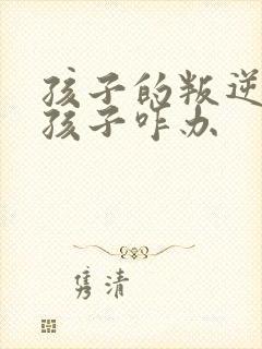 孩子的叛逆期男孩子咋办