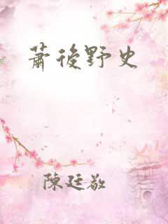 萧后野史