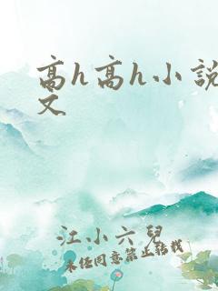 高h高h小说爽文