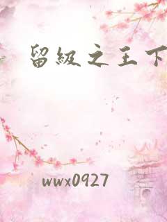 留级之王下载