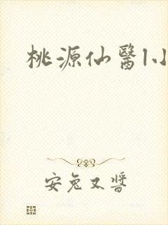 桃源仙医l小说