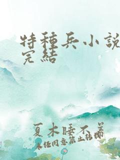 特种兵小说最新完结