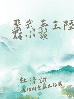 医武兵王陆轩顶点小说