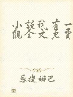 小说我有一剑叶观全文免费阅读