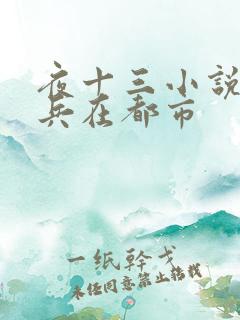夜十三小说特种兵在都市