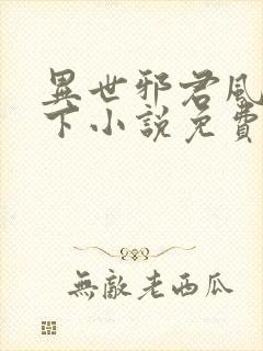 异世邪君风凌天下小说免费阅读全文
