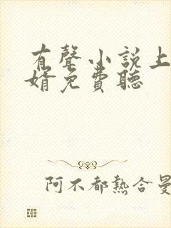 有声小说上门龙婿免费听