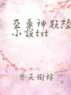 至尊神殿陆鸣 小说txt