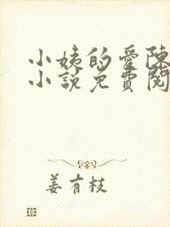 小姨的爱陈凌轩小说免费阅读