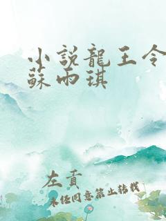 小说龙王令陈平苏雨琪