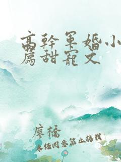 高干军婚小说推荐甜宠文