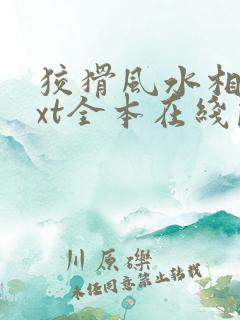 狡猾风水相师txt全本在线阅读