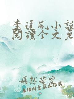 李道风小说在线阅读全文免费无弹窗