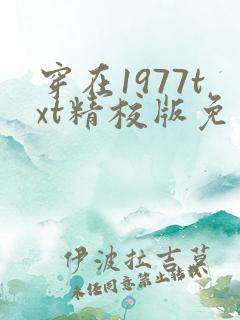 穿在1977txt精校版免费阅读