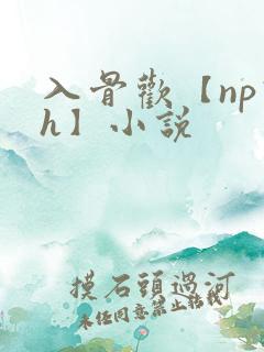 入骨欢【np高h】小说