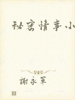 秘密情事小说