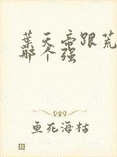 叶天帝跟荒天帝哪个强
