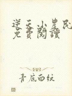 逆天小农民小说免费阅读