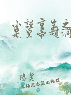 小说重生之老子是皇帝赵洞庭