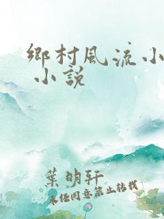 乡村风流小神医 小说