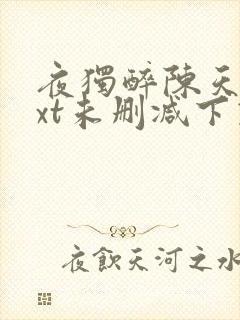 夜独醉陈天明txt未删减下载