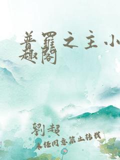 普罗之主小说笔趣阁
