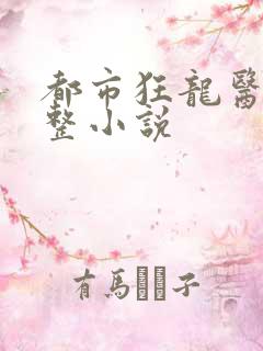 都市狂龙医仙完整小说