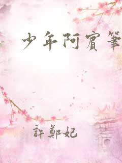 少年阿宾笔趣阁