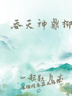 吞天神鼎柳无邪