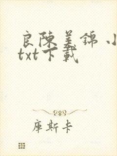 良陈美锦 小说txt下载
