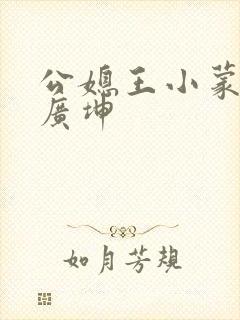公媳王小蒙和谢广坤