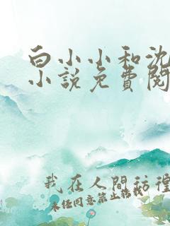 白小小和沈惊觉小说免费阅读