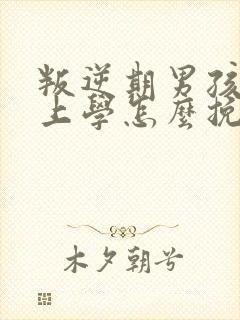 叛逆期男孩不想上学怎么挽救