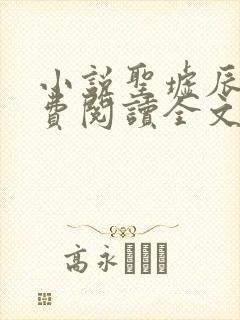 小说圣墟辰东免费阅读全文无窗口