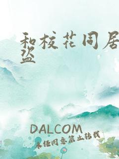 和校花同居的大盗
