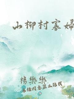 山柳村寡妇情史