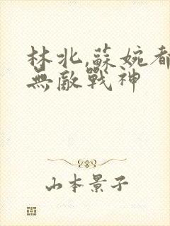 林北,苏婉都市无敌战神