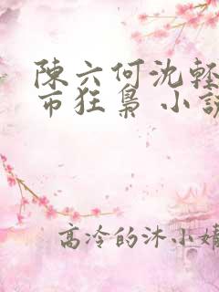 陈六何沈轻舞都市狂枭 小说
