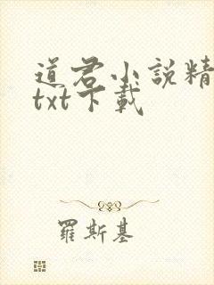 道君小说精校版txt下载